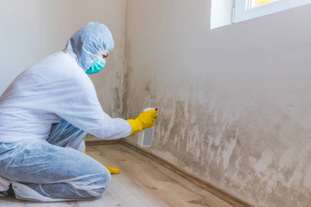 Mold Remediation specialist working in Shamokin